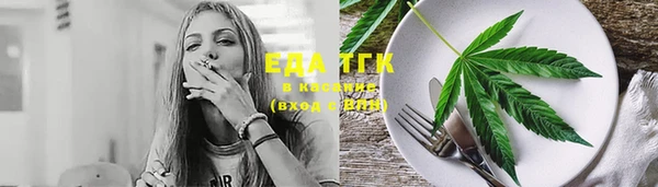 хмурый Каменка
